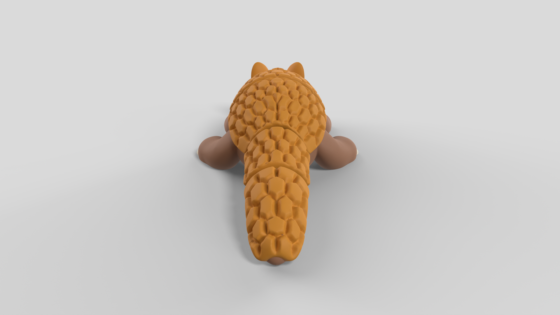 Armadillo